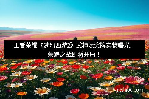 王者荣耀《梦幻西游2》武神坛奖牌实物曝光，荣耀之战即将开启！
